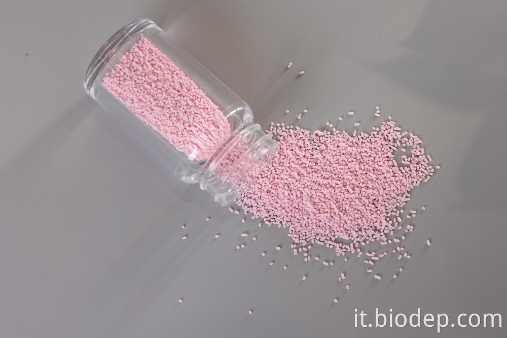 Lactobacillus Rhamnosus